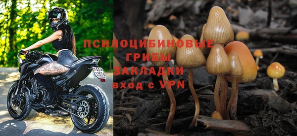 кокс Арсеньев