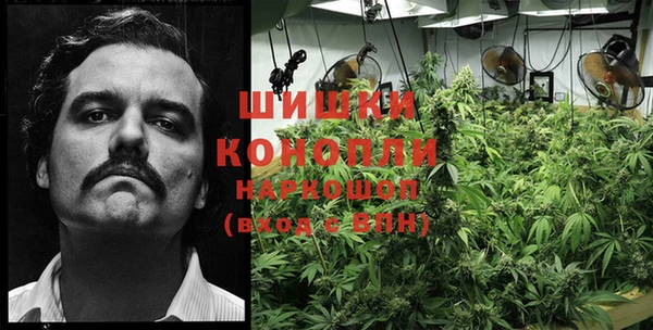 ГАЛЛЮЦИНОГЕННЫЕ ГРИБЫ Армянск